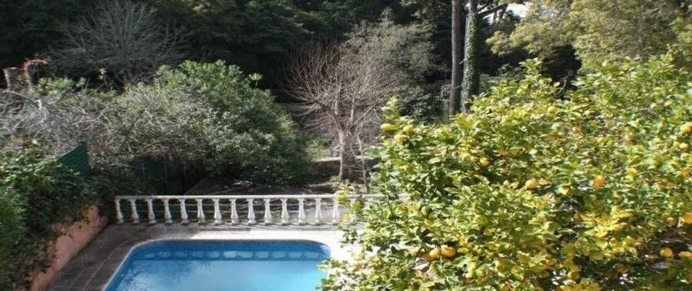 Acucena Vintage Bed & Breakfast Sintra Extérieur photo